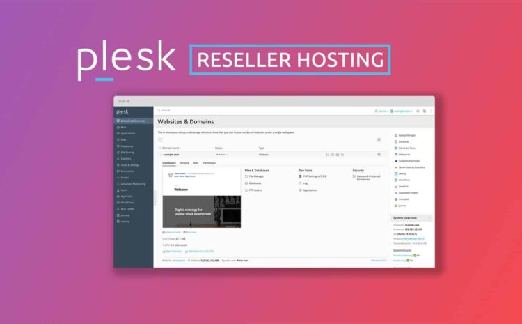 Linux Reseller Hosting Plesk